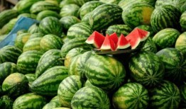 网红在线吃瓜,揭秘娱乐圈幕后真相